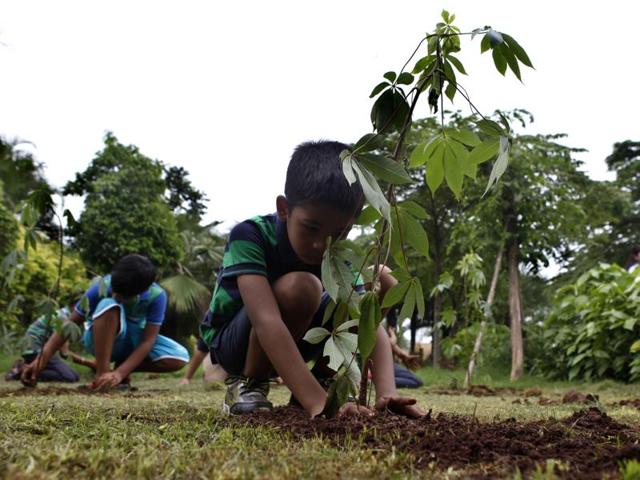 www.pmayonline.com › haryana-government-tree-plantation-scheme