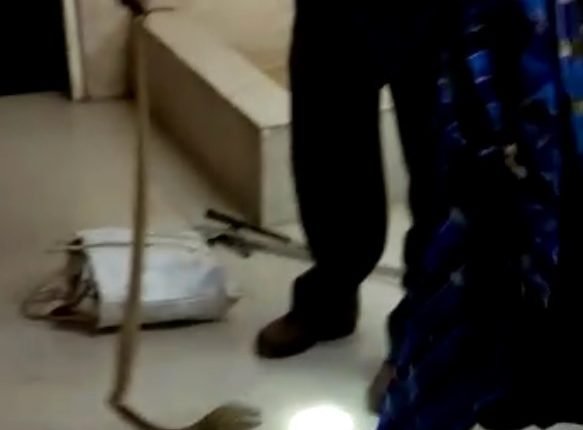 cobra rescue